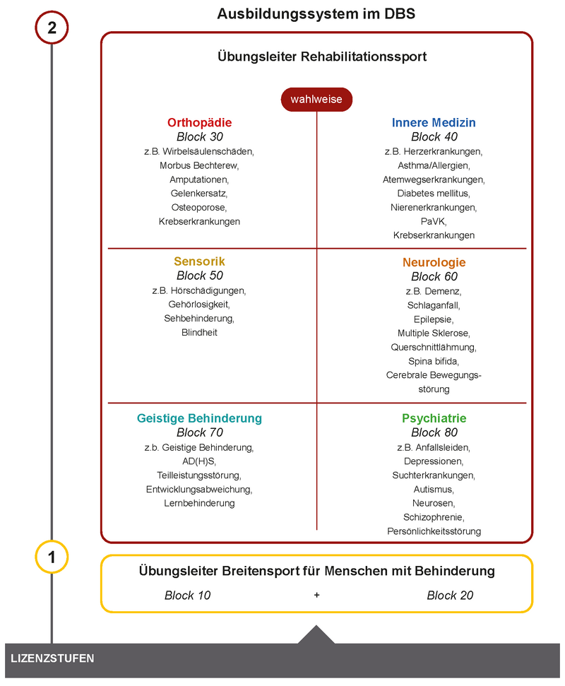 Darstellung der Ausbildungsmodule im Rehabilitationssport